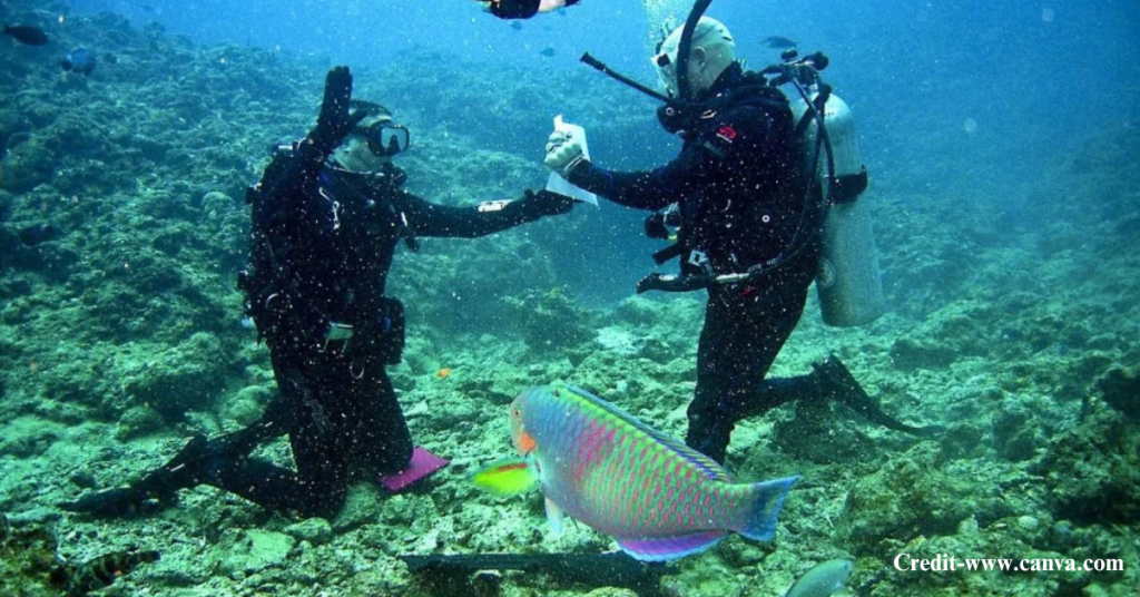 https://exploretrendz.com/