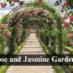 Rose and Jasmine Garden Islamabad
