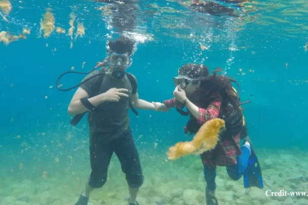 Astola Island, Pakistan (1)